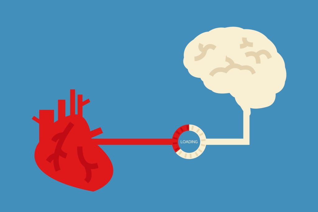 brain and heart design, vector
